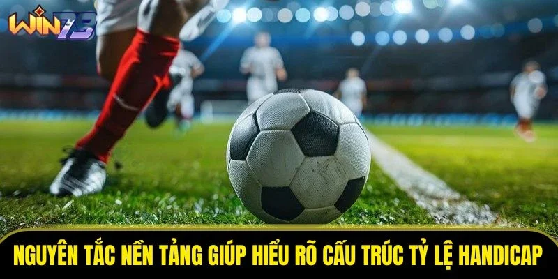 Nguyên tắc nền tảng giúp hiểu rõ cấu trúc tỷ lệ handicap Nguyên tắc nền tảng giúp hiểu rõ cấu trúc tỷ lệ handicap